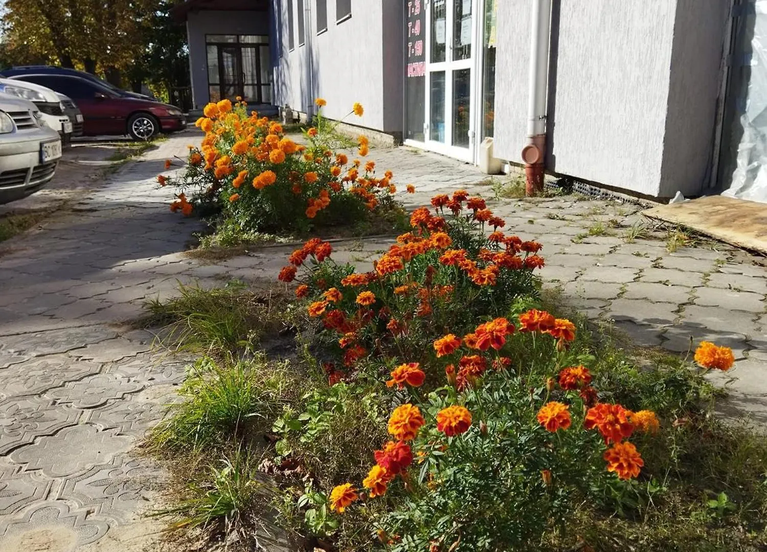 Hostel Апарт-Готель Олімпік Ukraine